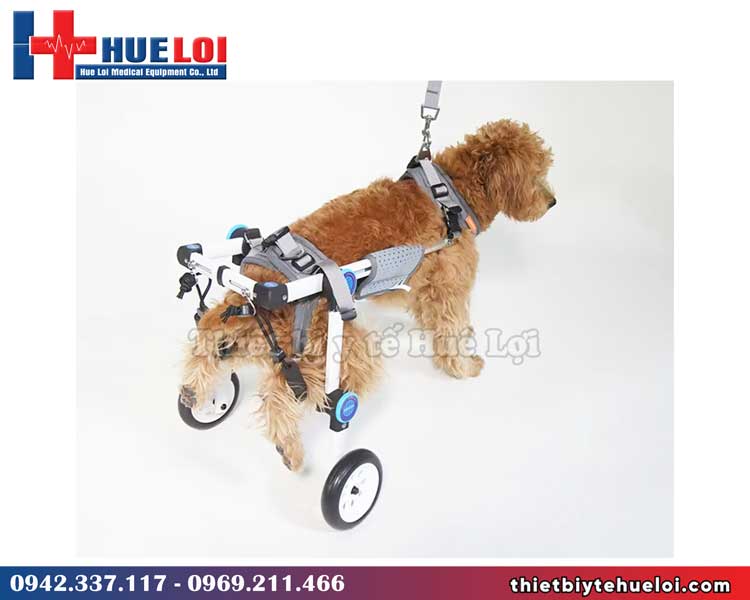 Xe lăn cho chó 2 bánh linh hoạt